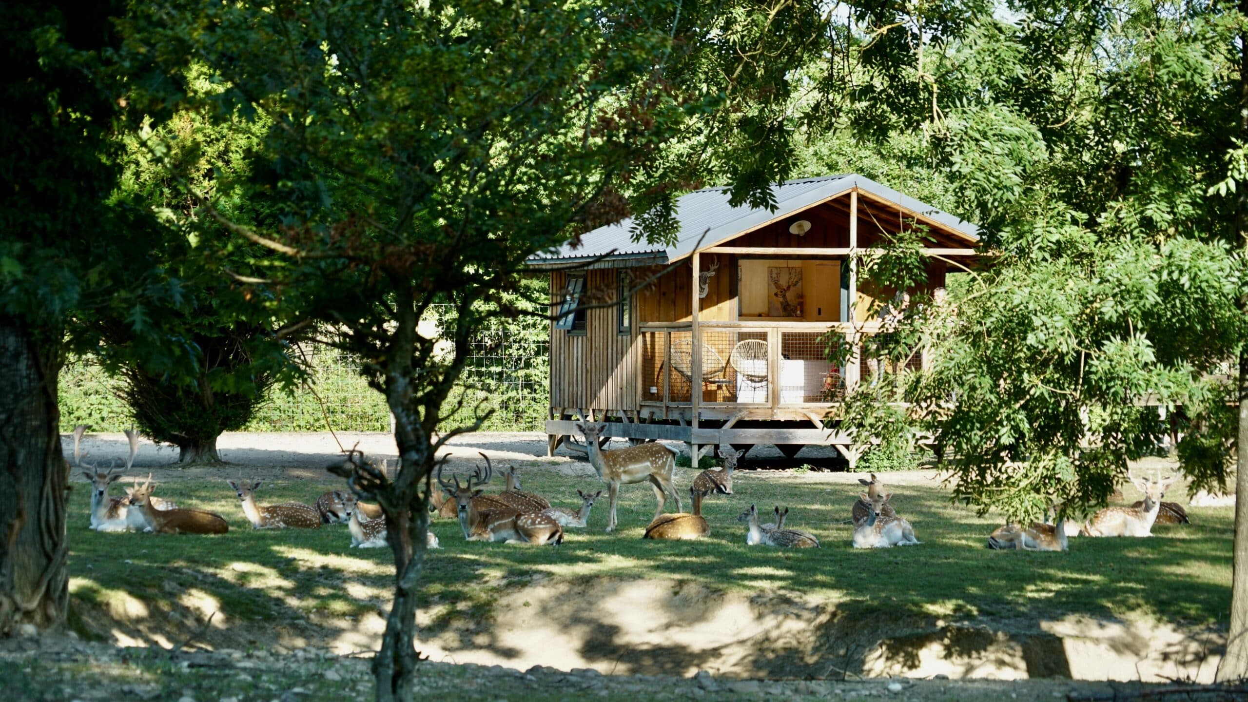 Sleep in the middle of the animals Domaine de la dombes