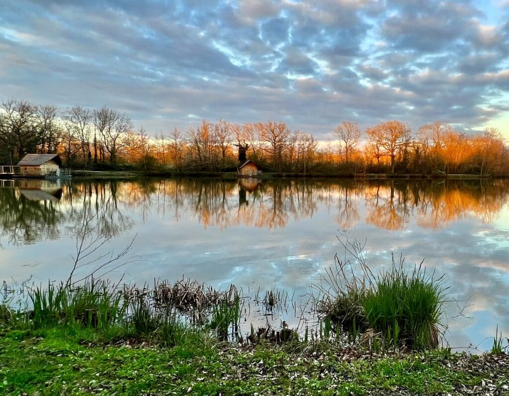 cabane cygnes et poisson Domaine de la Dombes