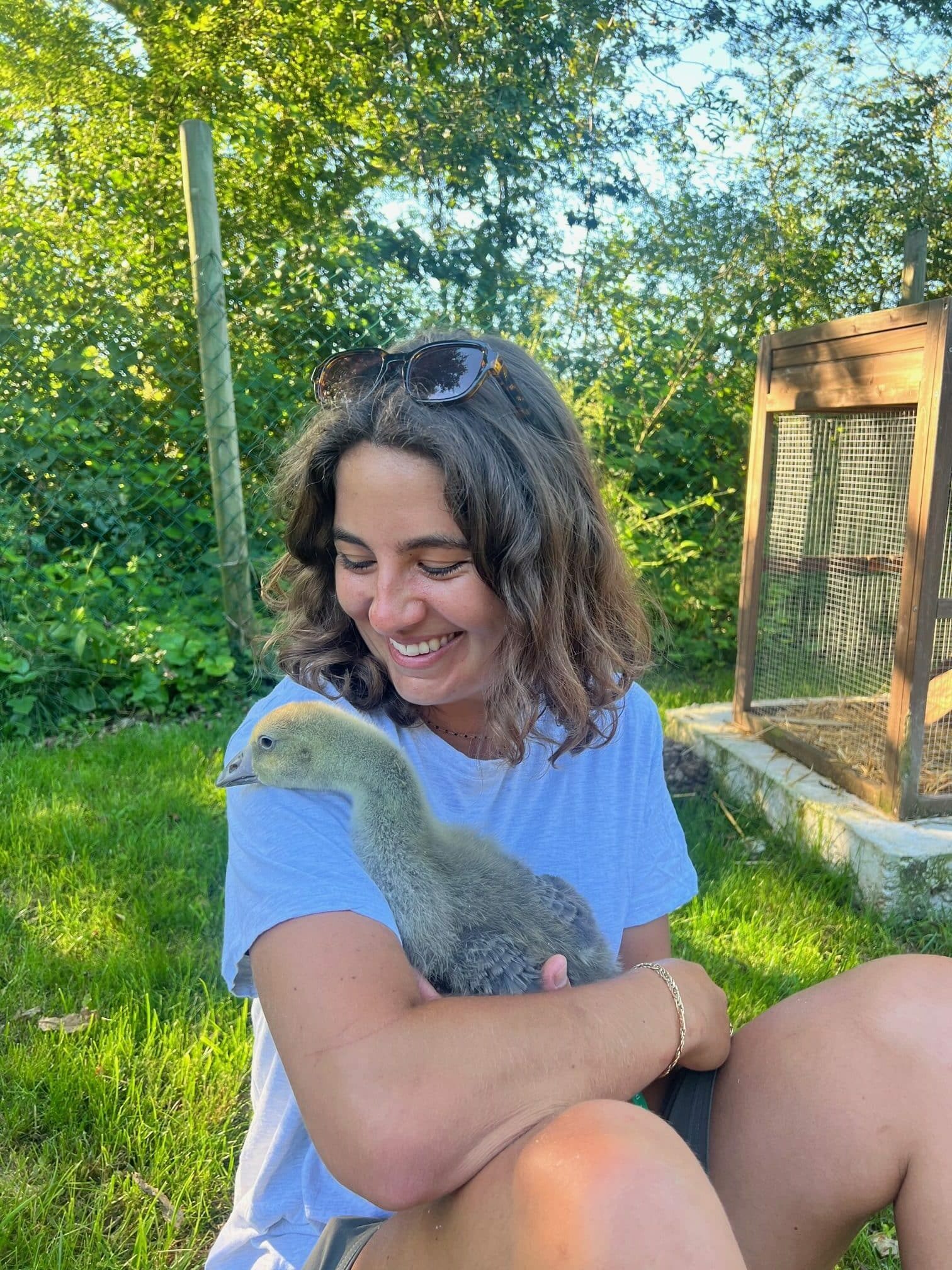 soigneur animaux Domaine de la Dombes