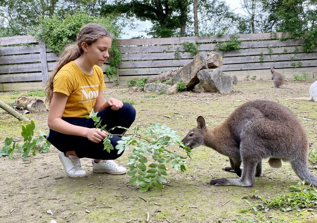 New "Soigneur en herbe" at Domaine de la Dombes